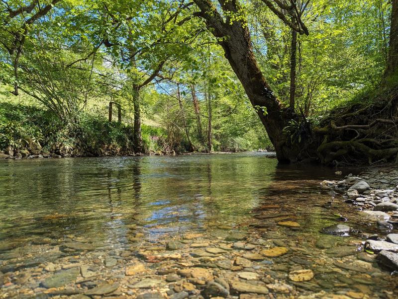 Propriété - 399 m² - 17 pièces