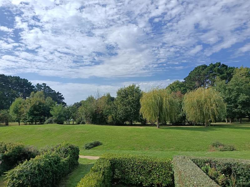 Studio - 26 m² - 2 pièces