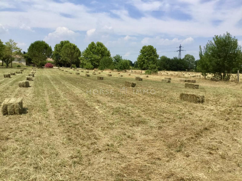 Maison - 230 m² - 7 pièces