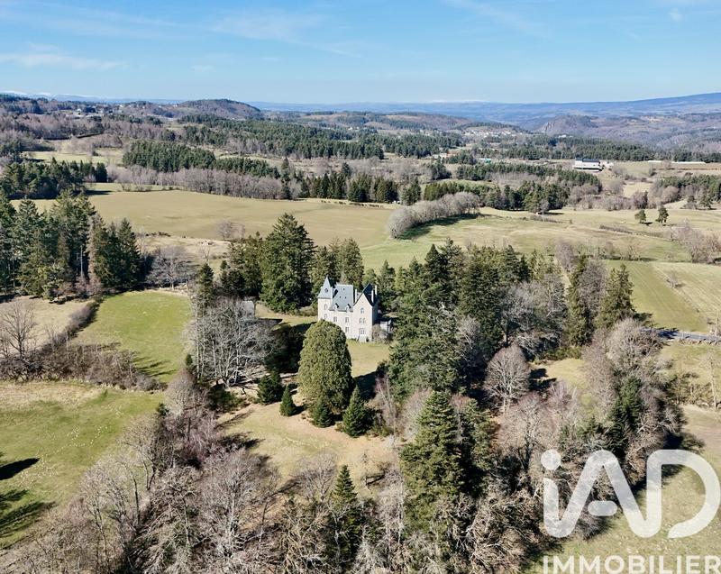 Château - 550 m² - 21 pièces