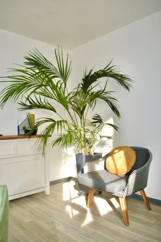 Maison ancienne - 210 m² - 10 pièces