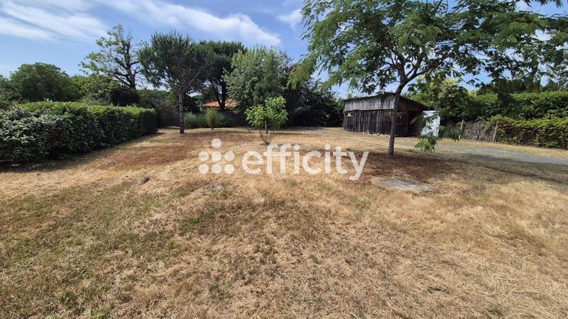 Terrain - 901 m²