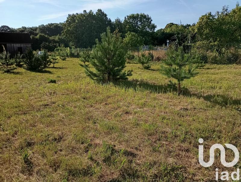 Maison - 67 m² - 3 pièces