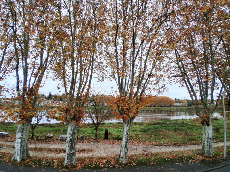 Maison - 154 m² - 6 pièces