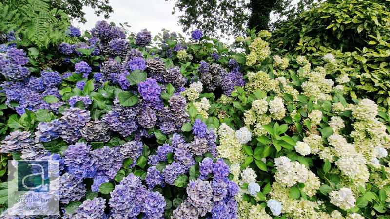 Maison - 145 m² - 7 pièces