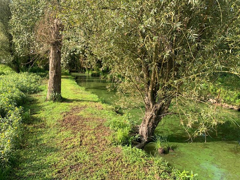 Maison - 30 m² - 2 pièces