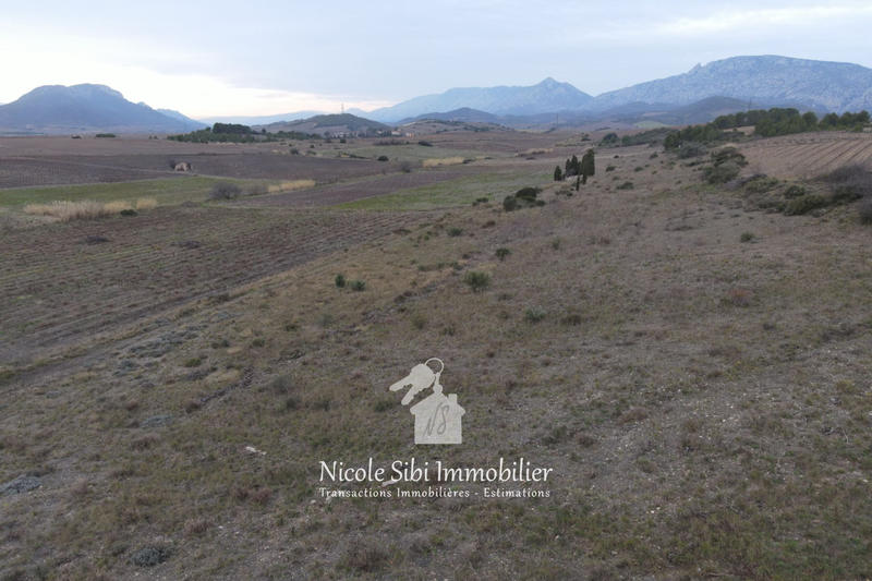 Terrain agricole - 6 705 m²