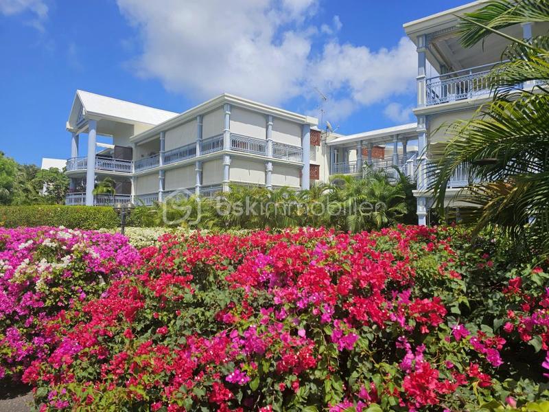 Studio - 41 m² - 1 pièce