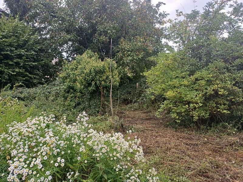 Immeuble - 176 m² - 8 pièces