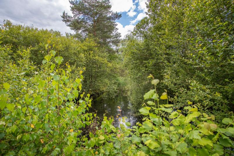 Propriété - 130 m² - 7 pièces