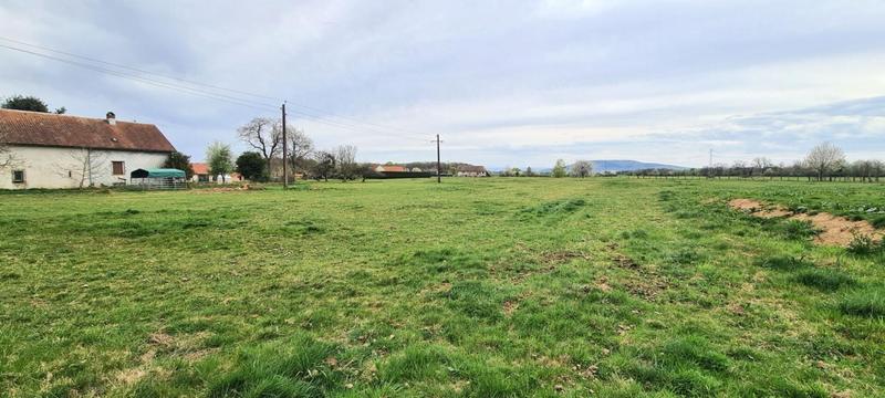 Terrain constructible - 1 175 m²