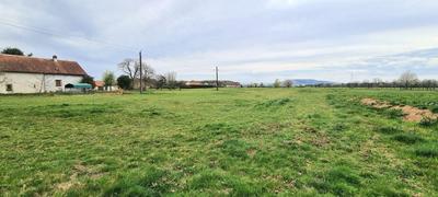 Terrain constructible - 1 175 m²