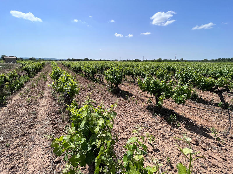 Terrain agricole - 400 m²