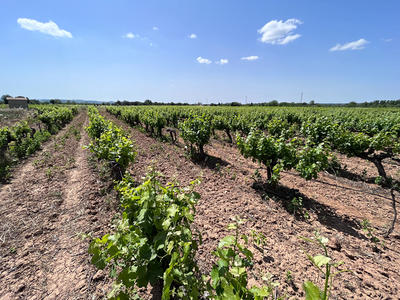 Terrain agricole - 400 m²