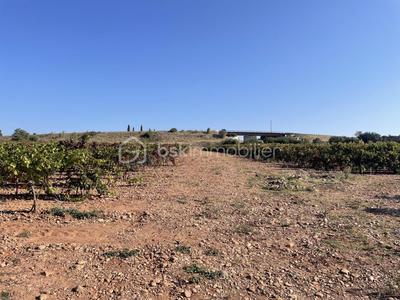 Terrain agricole - 45 000 m²