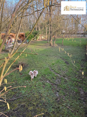 Terrain agricole - 1 300 m²