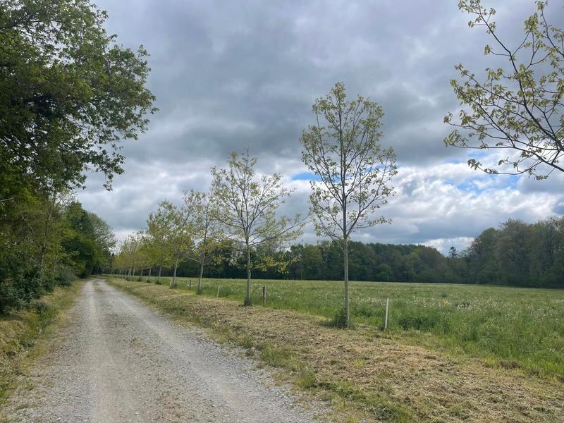 Maison de domaine équestre - 140 m² - 6 pièces