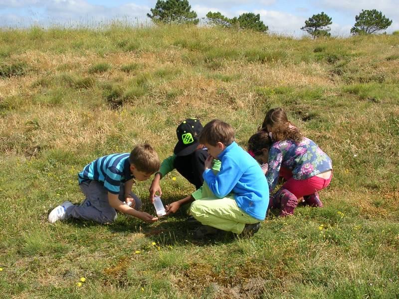 Eveil à la nature dans les dunes (3/6 ans)