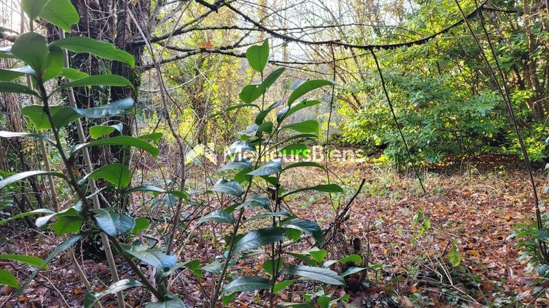 Maison de campagne - 48 m² - 2 pièces