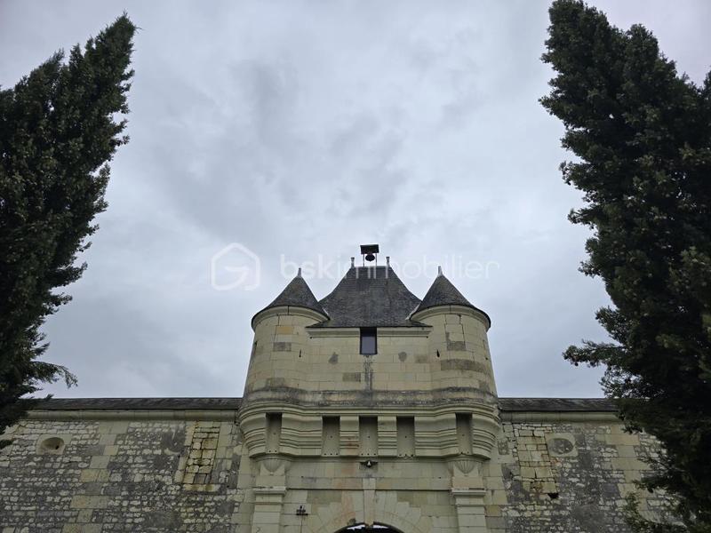 Château - 300 m² - 8 pièces