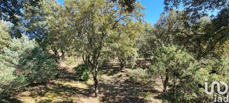 Maison - 149 m² - 5 pièces