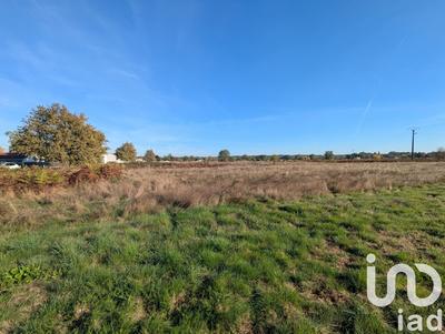 Terrain - 53 098 m²