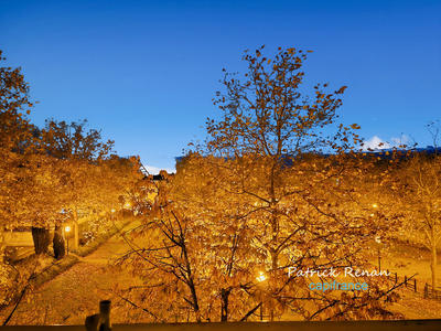 Appartement - 87 m² - 4 pièces