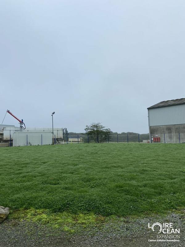 Bureau - 200 m² - 1 pièce