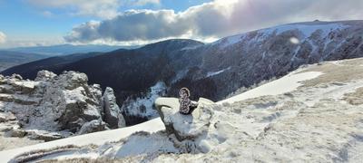 Bain de forêt hivernal et sophrologie