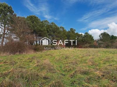 Terrain - 7 419 m²