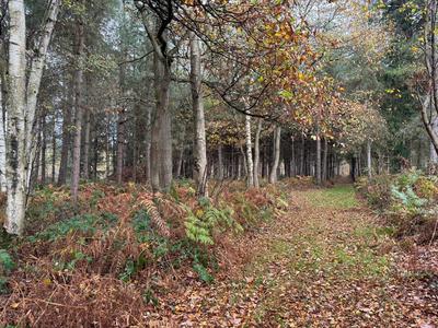 Maison - 116 m² - 4 pièces