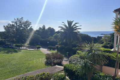 Appartement - 23 m² - 1 pièce