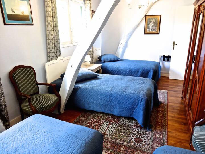 Château - 1 500 m² - 30 pièces