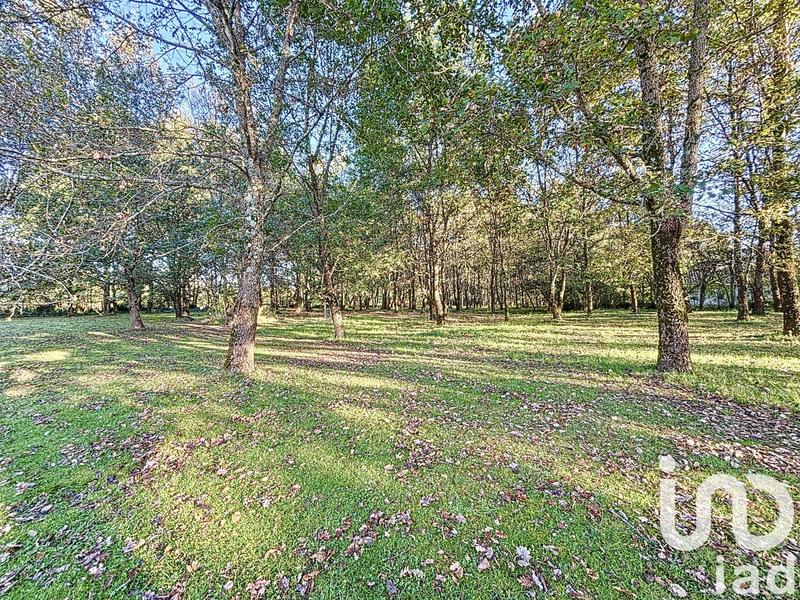 Maison de maîtres - 243 m² - 9 pièces