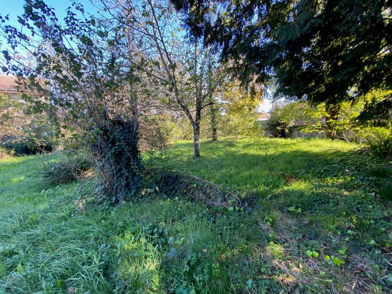 Terrain - 545 m²