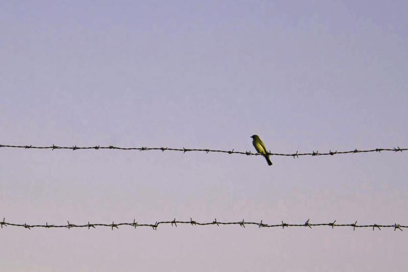 Espace Noriac - Cendrillon