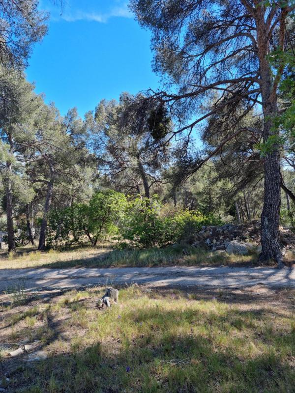 Terrain constructible - 1 058 m²