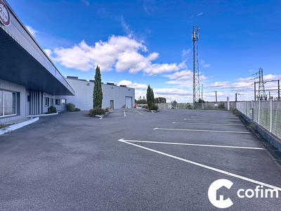 Local d'activités - 1 069 m²