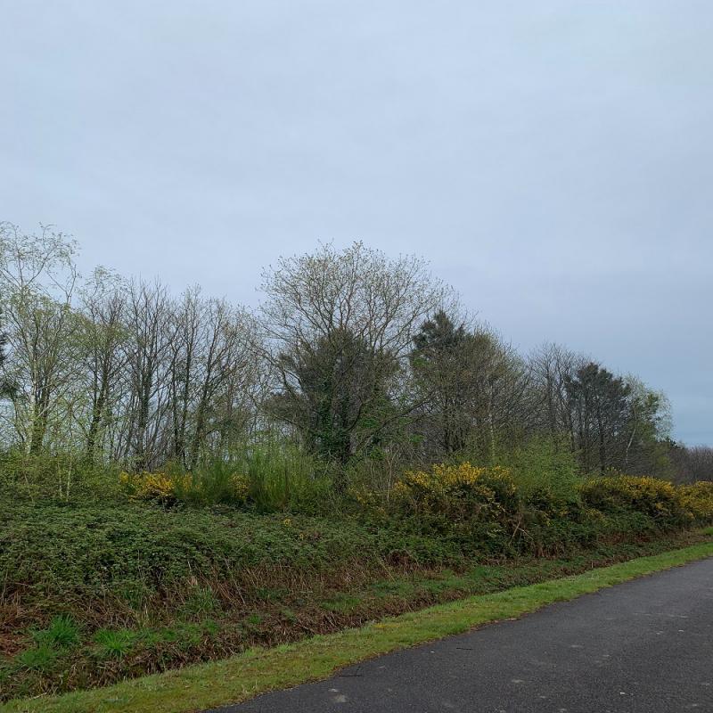 Longère - 100 m² - 3 pièces