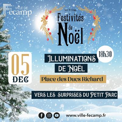 Illuminations de Noël