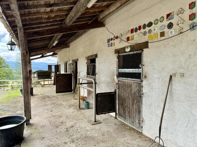 Maison ancienne - 345 m² - 10 pièces