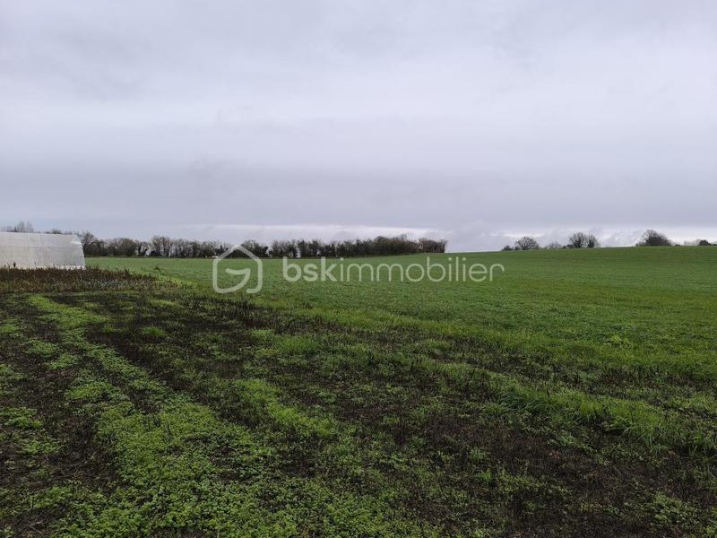 Maison de campagne - 137 m² - 7 pièces