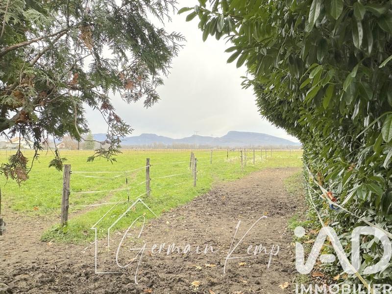 Maison - 250 m² - 9 pièces