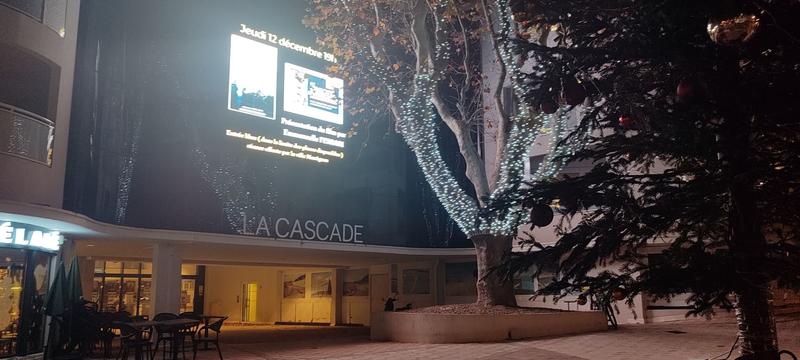 Spectacle son et lumière de Noël