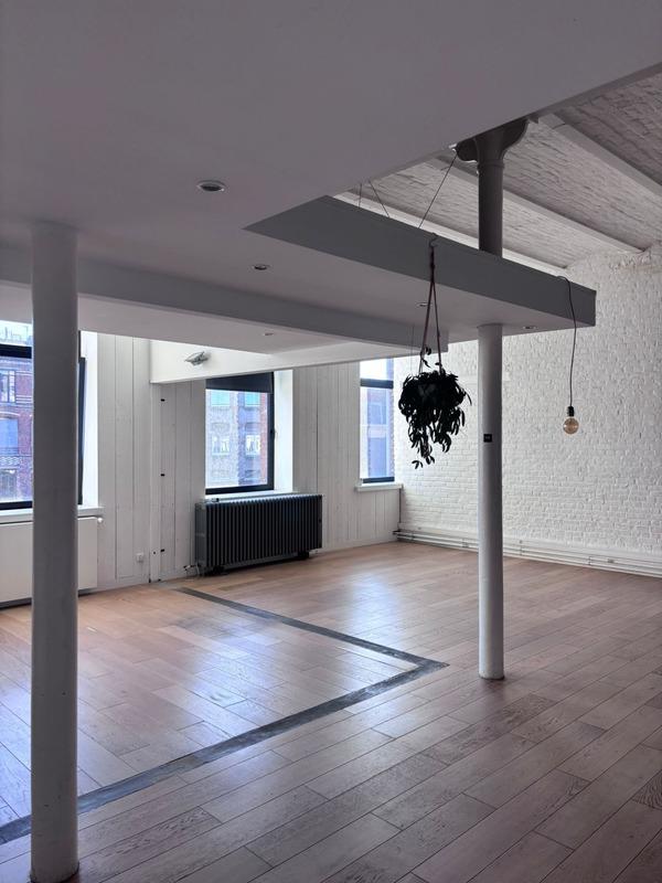 Loft - 161 m² - 5 pièces