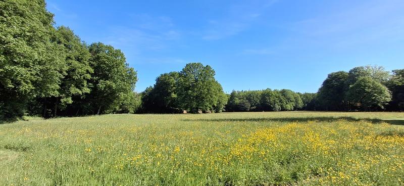 Château - 1 800 m² - 30 pièces