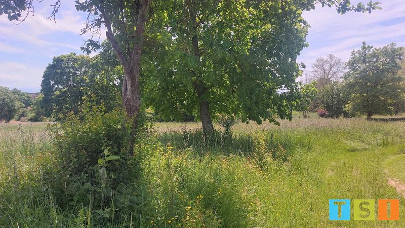 Terrain constructible - 5 900 m²