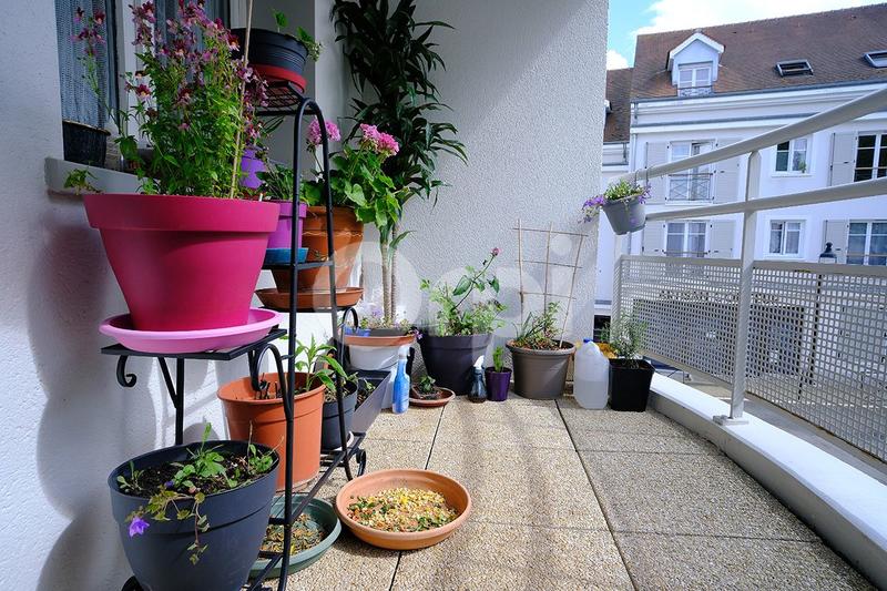 Appartement - 50 m² - 2 pièces