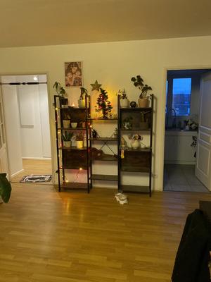 Appartement - 72 m² - 3 pièces