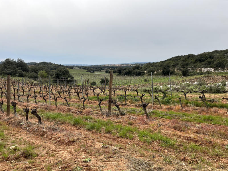 Terrain agricole - 9 590 m²